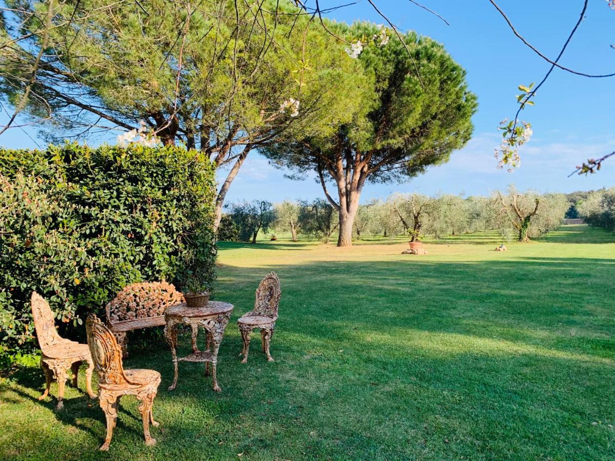 B&B Valle D'Oro Ansedónia Екстериор снимка