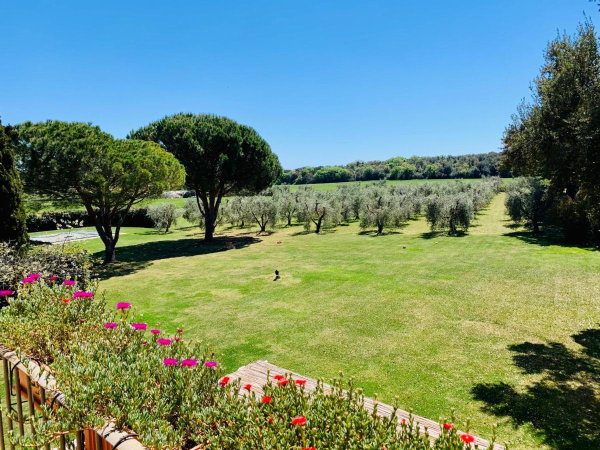 B&B Valle D'Oro Ansedónia Екстериор снимка