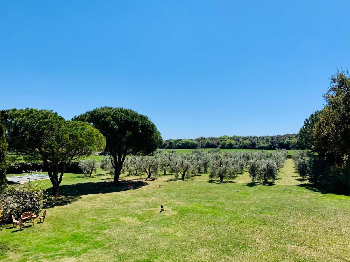 B&B Valle D'Oro Ansedónia Екстериор снимка