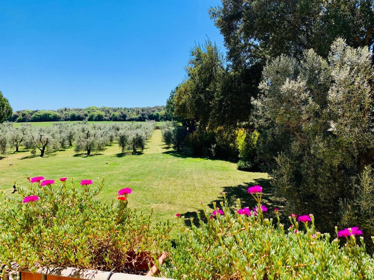 B&B Valle D'Oro Ansedónia Екстериор снимка