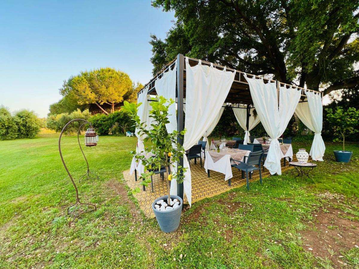 B&B Valle D'Oro Ansedónia Екстериор снимка