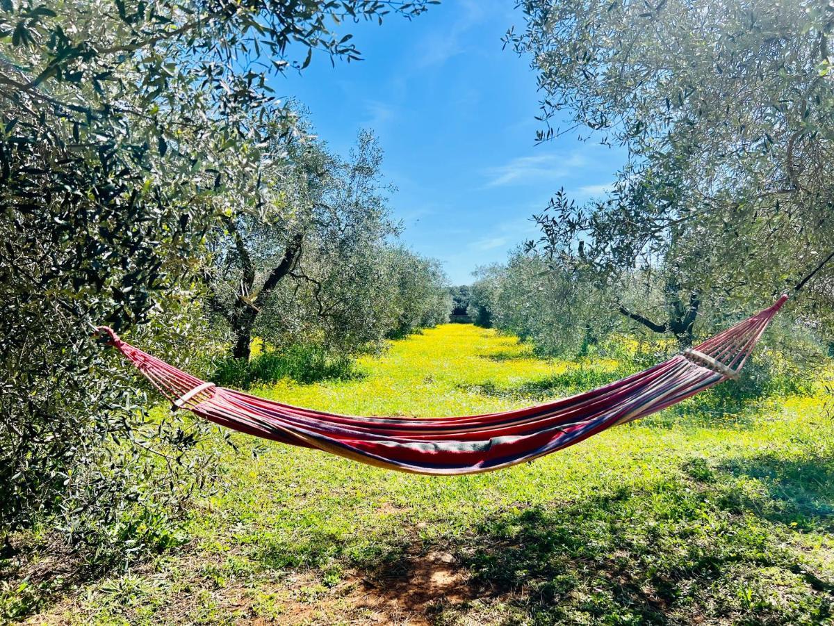 B&B Valle D'Oro Ansedónia Екстериор снимка