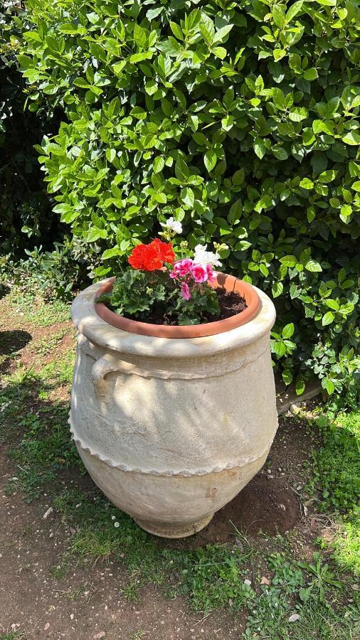 B&B Valle D'Oro Ansedónia Екстериор снимка