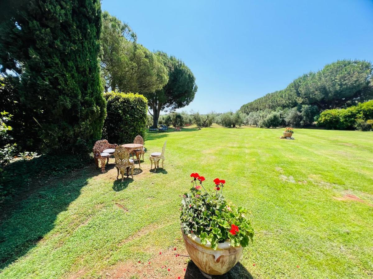 B&B Valle D'Oro Ansedónia Екстериор снимка